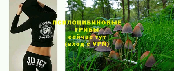 каннабис Новозыбков