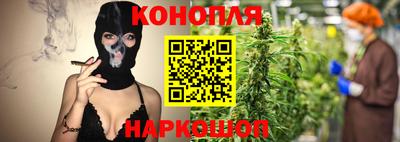 мяу мяу мука Гатчина