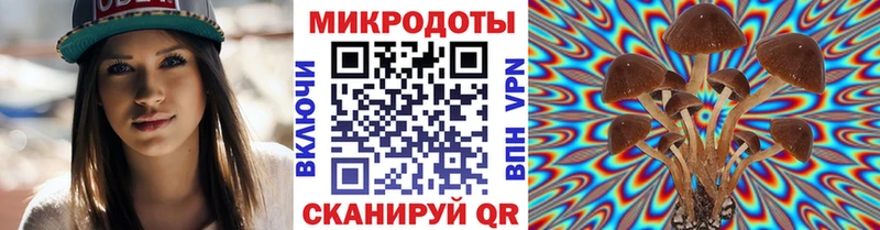 Галлюциногенные грибы мицелий  omg   Котовск  закладки 
