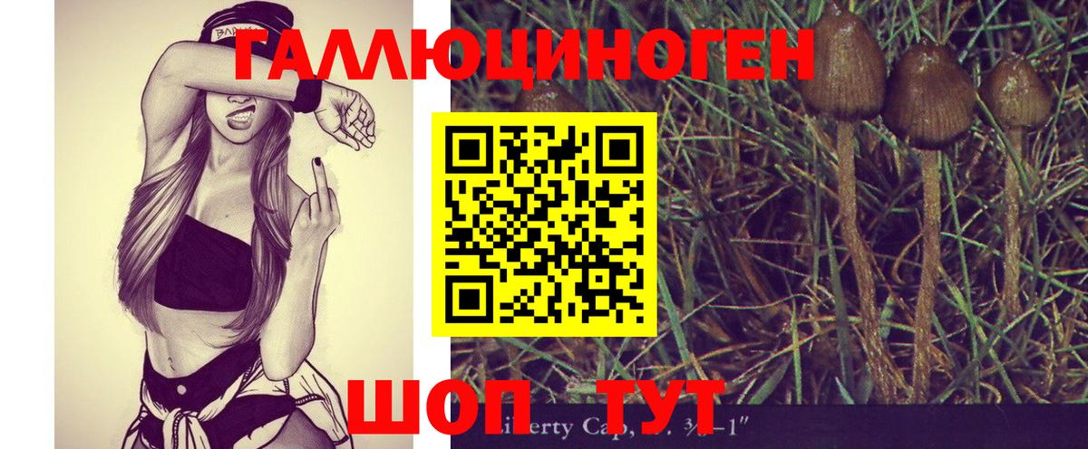 Псилоцибиновые грибы Magic Shrooms Котовск