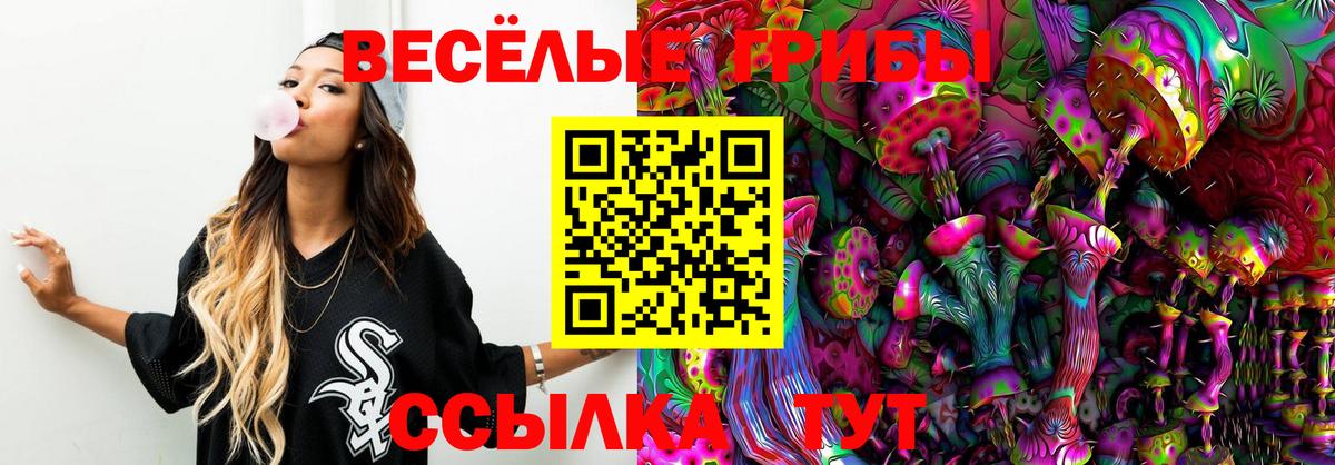 Котовск  Псилоцибиновые грибы MAGIC MUSHROOMS  Вход с VPN  Галлюциногенные грибы мухоморы 