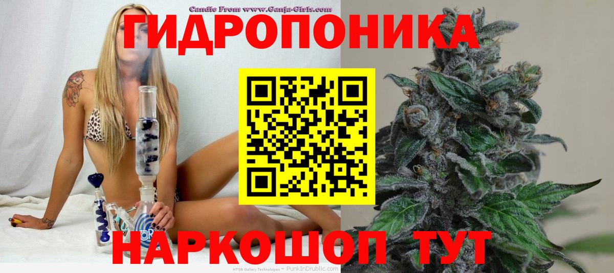 Каннабис SATIVA & INDICA  Котовск  Конопля Ganja  Шишки марихуана THC 21% 
